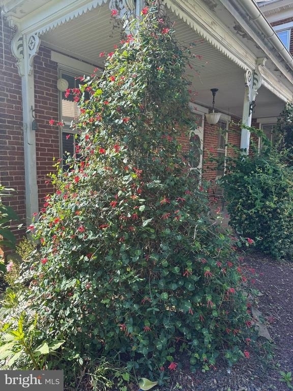 240 Franklin Street - Photo 26
