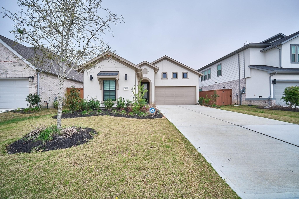 24819 Yellow Spruce - Photo 0