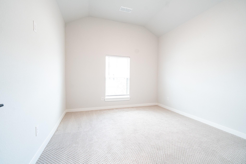 24819 Yellow Spruce - Photo 2