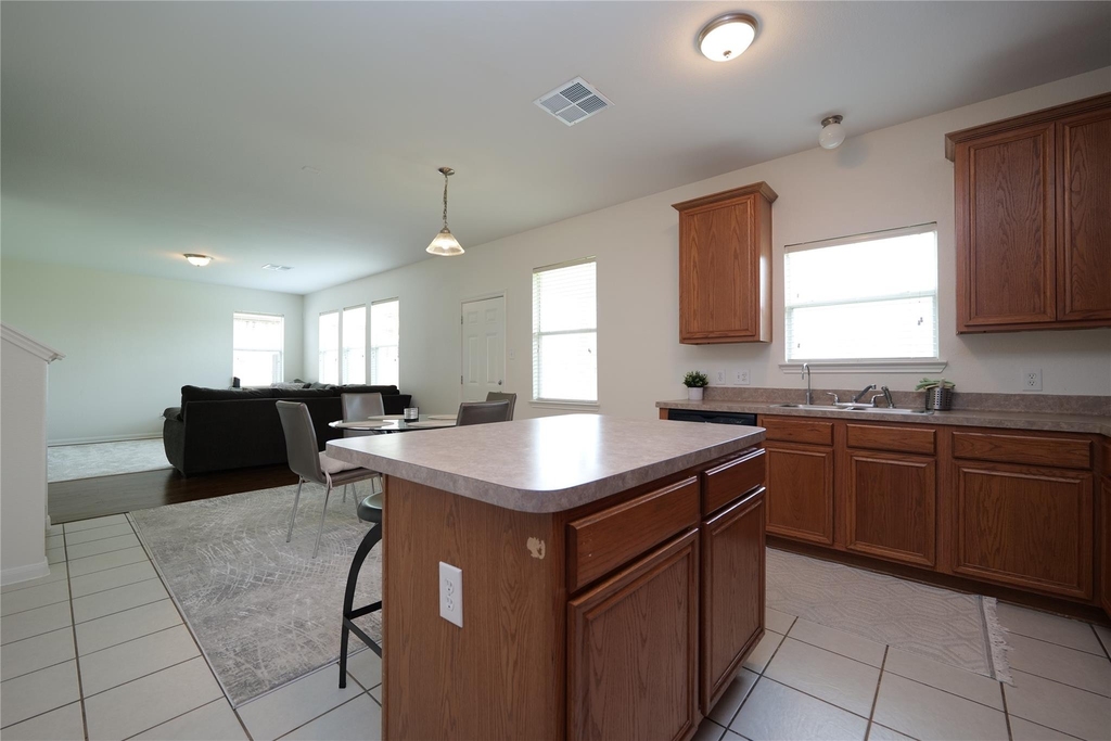 1203 Lavender Shade Court - Photo 15