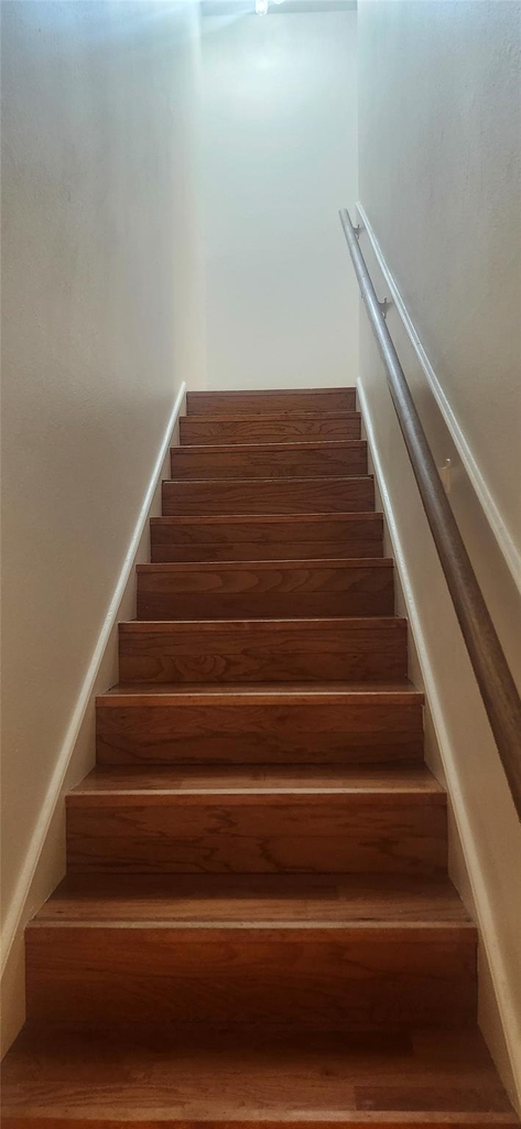12913 Trail Hollow Drive - Photo 12