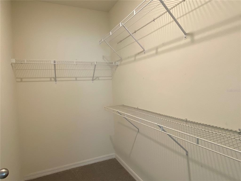 33801 Jasmine Star Loop - Photo 13