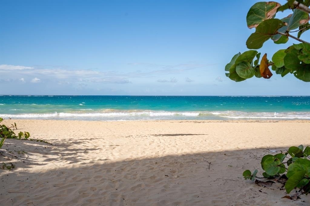 56 Calle F Krug Condado - Photo 20