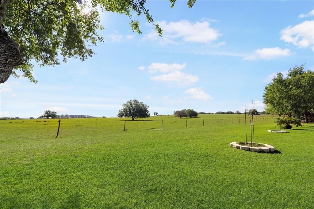 20846 Queen Alexandra Drive - Photo 26