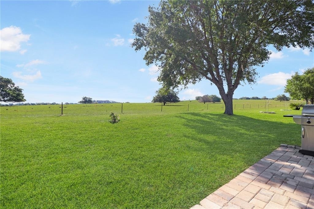 20846 Queen Alexandra Drive - Photo 25