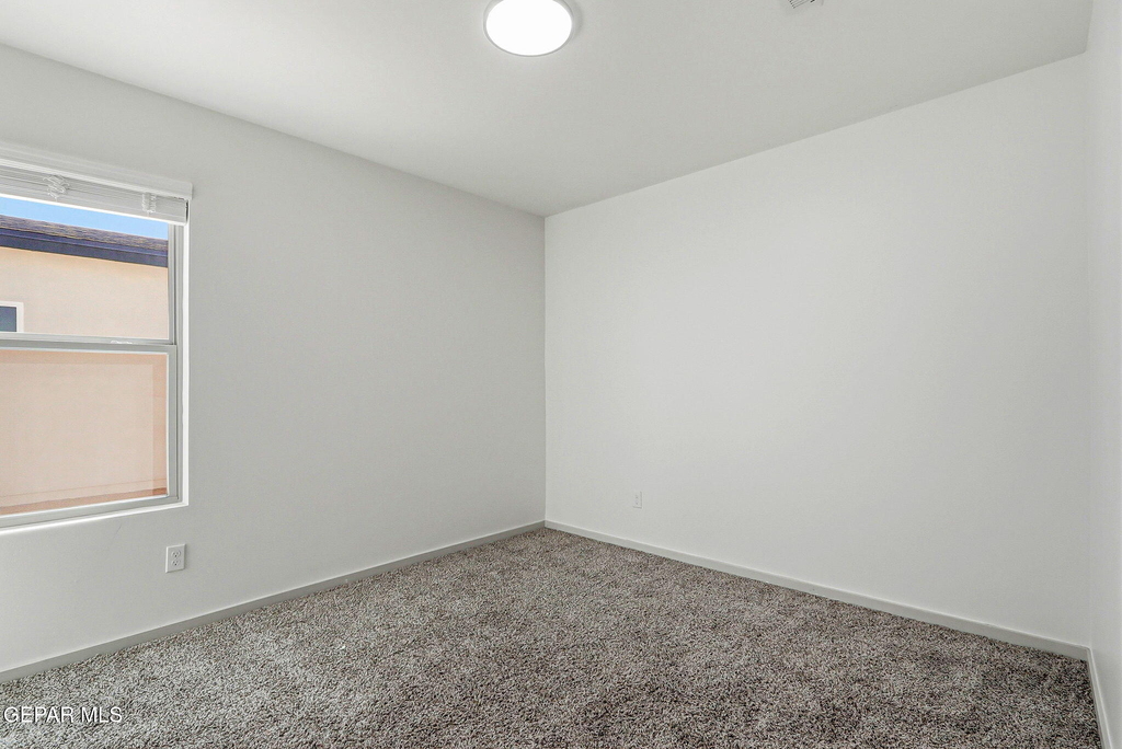 1173 Summer Rain Street - Photo 11