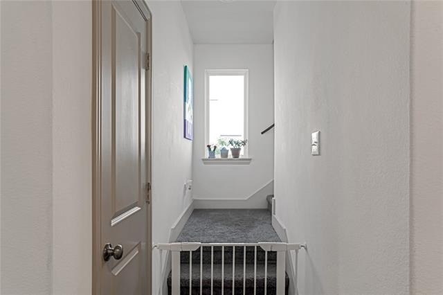 5114 Springlake Parkway - Photo 9