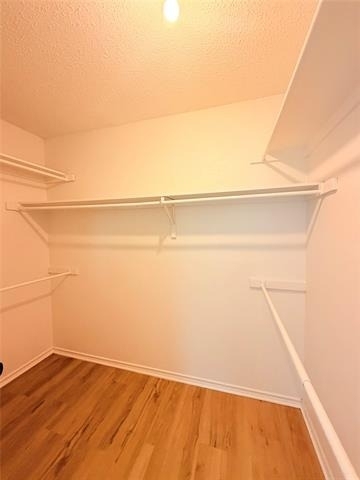 3613 Longbow Lane - Photo 13