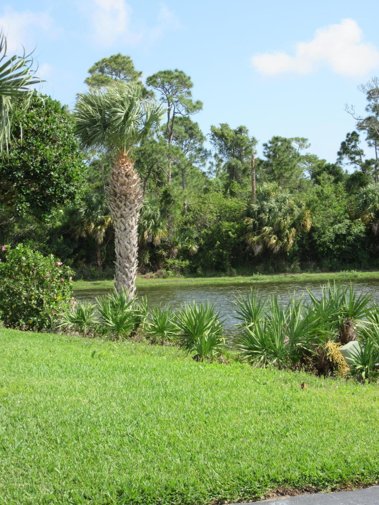 1 Lake Vista Trail - Photo 24