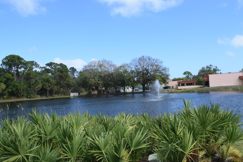 1 Lake Vista Trail - Photo 22