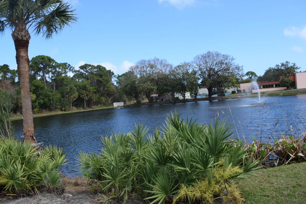 1 Lake Vista Trail - Photo 23