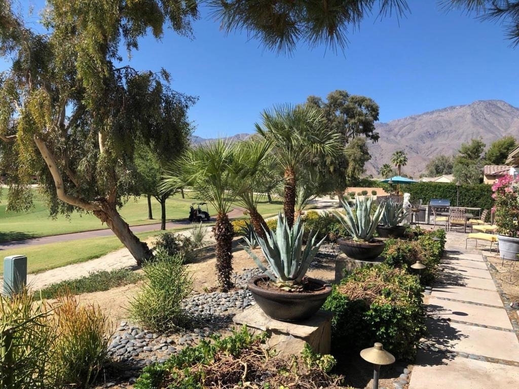 61016 Desert Rose Drive - Photo 13