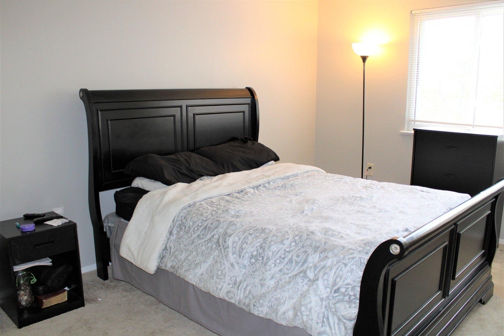 10780 Green Mountain Circle - Photo 13