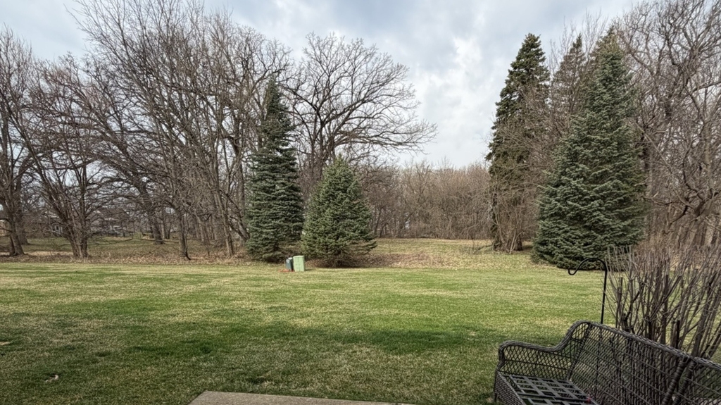 2554 Evergreen Circle - Photo 12