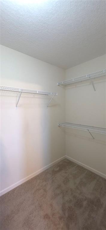 2125 Savannah Drive - Photo 14