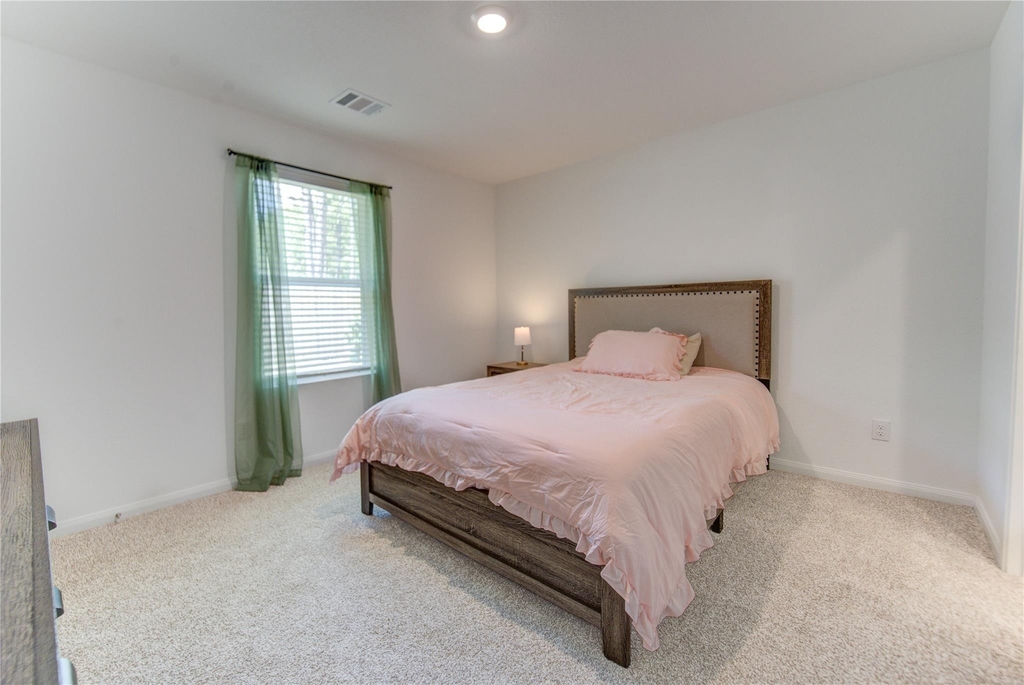 12339 Mccrorey Trails Court - Photo 9