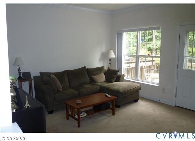 8738 Springwater Drive - Photo 4
