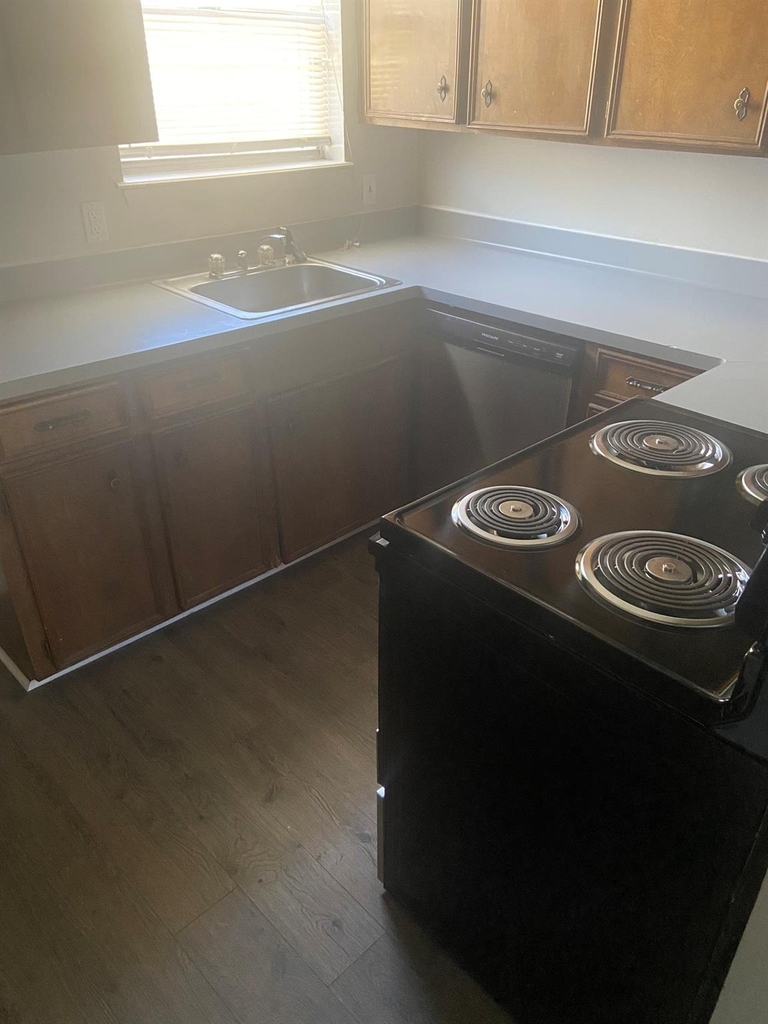 801 Forest Hollow - Photo 5