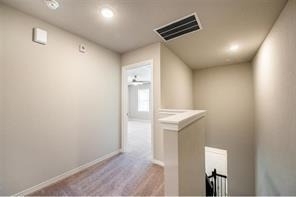 8016 Scanlan Trail - Photo 6