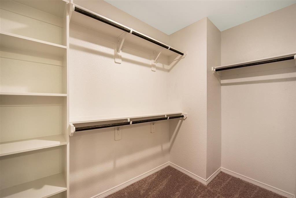 8016 Scanlan Trail - Photo 10