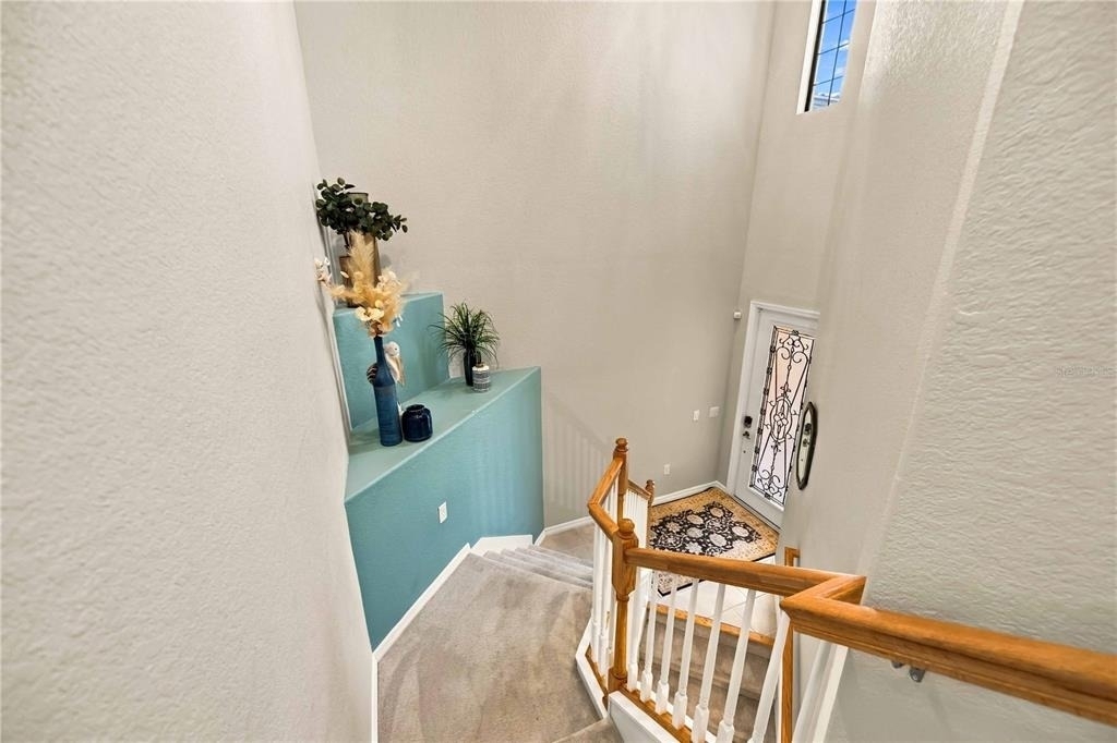 10817 Tarflower Drive - Photo 4