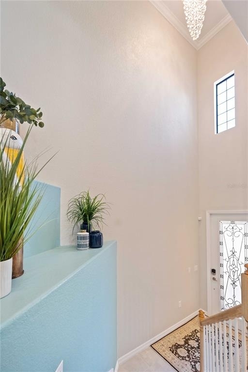 10817 Tarflower Drive - Photo 1