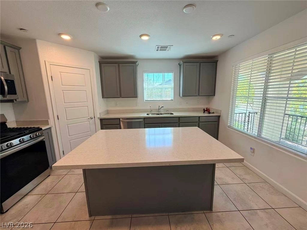 699 Pickled Pepper Place - Photo 11