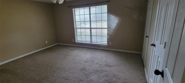 3031 Modella Avenue - Photo 3