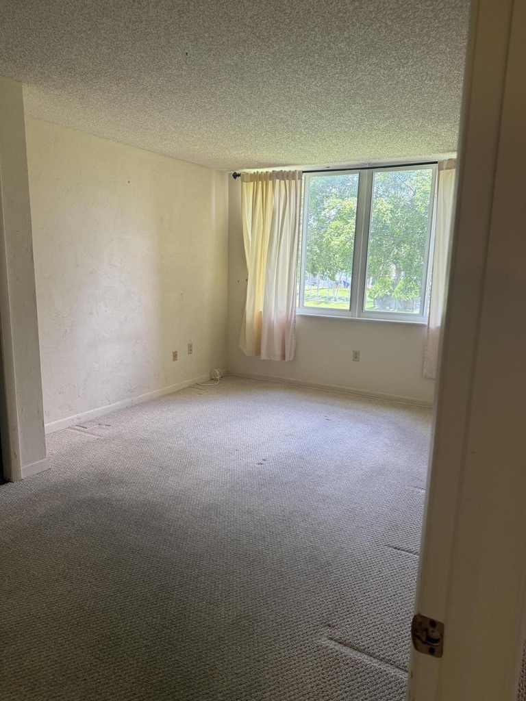 6670 Royal Palm Boulevard - Photo 5