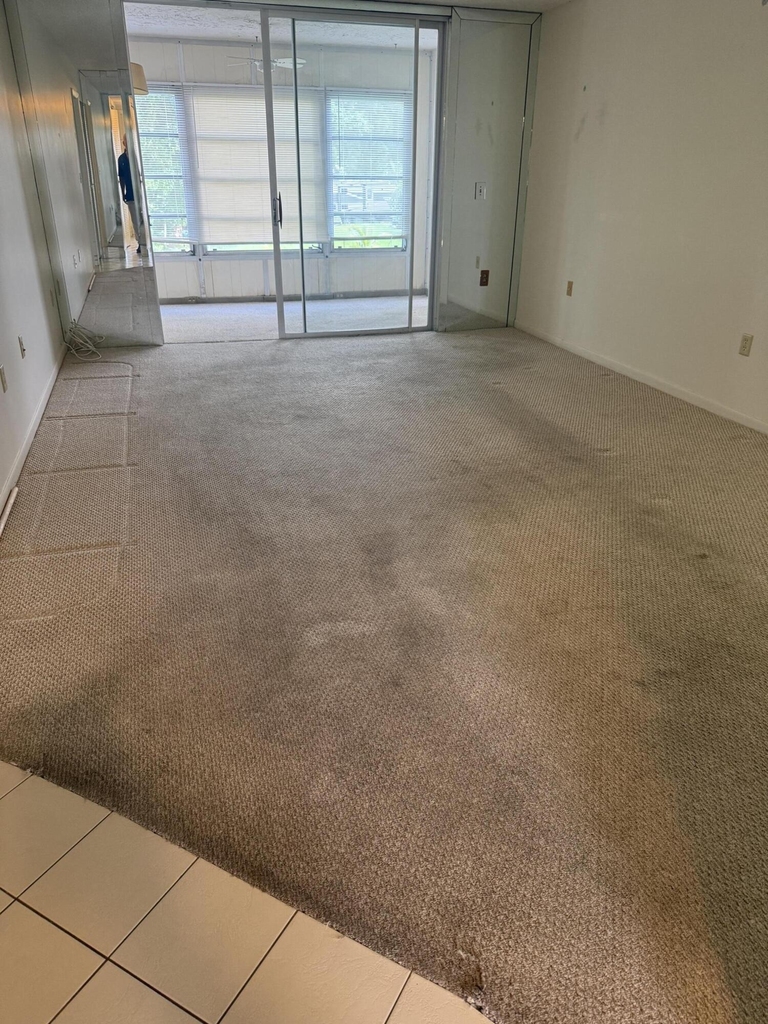 6670 Royal Palm Boulevard - Photo 4