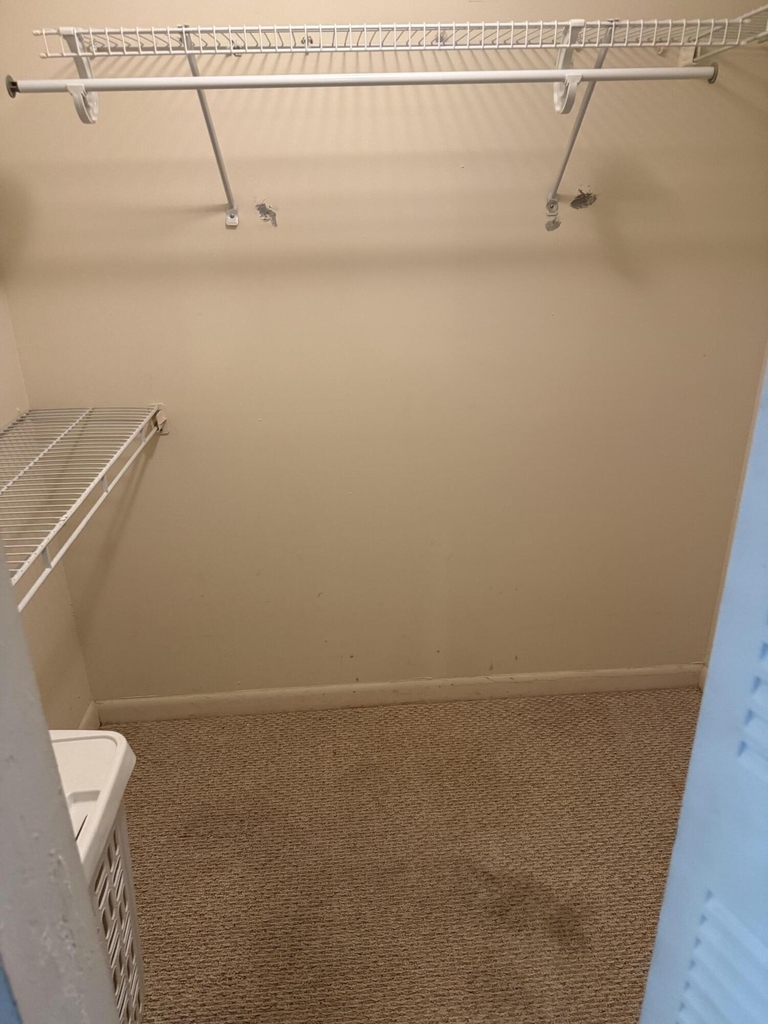 6670 Royal Palm Boulevard - Photo 7