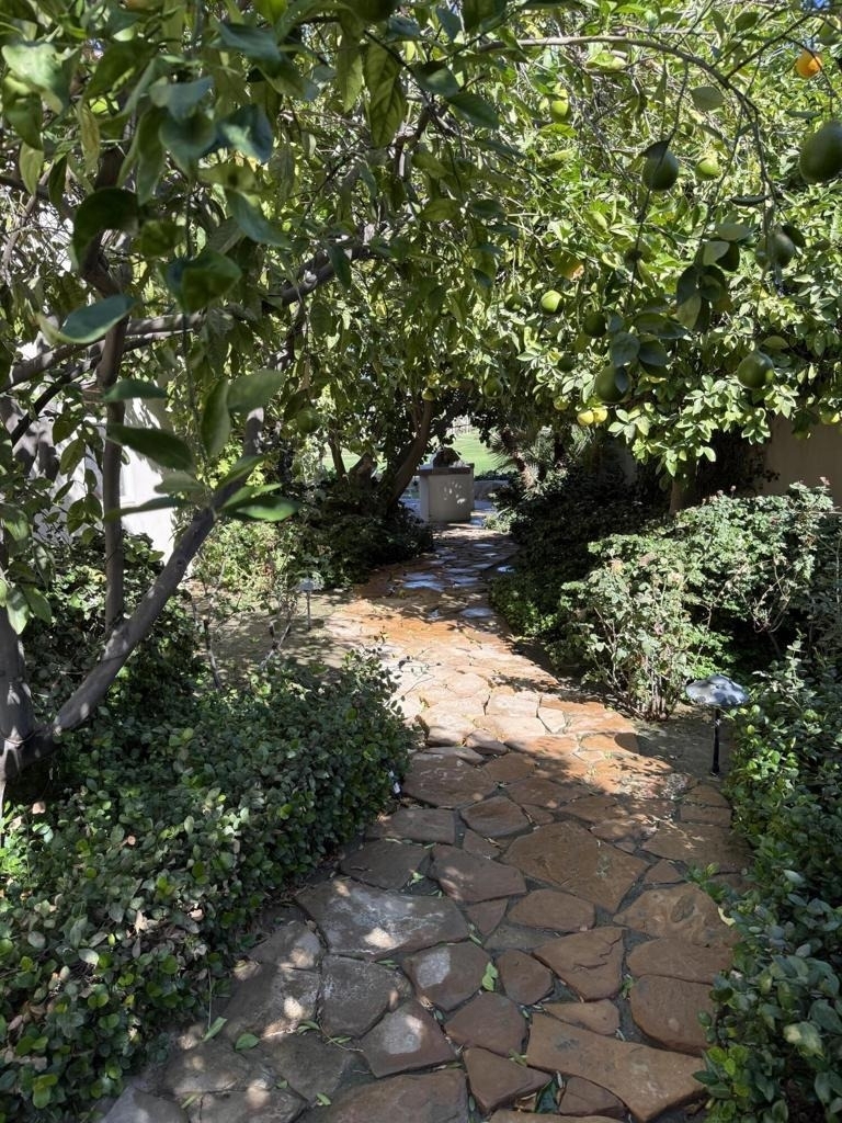 79100 Calle Brisa - Photo 40