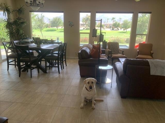 81225 Red Rock Road - Photo 1