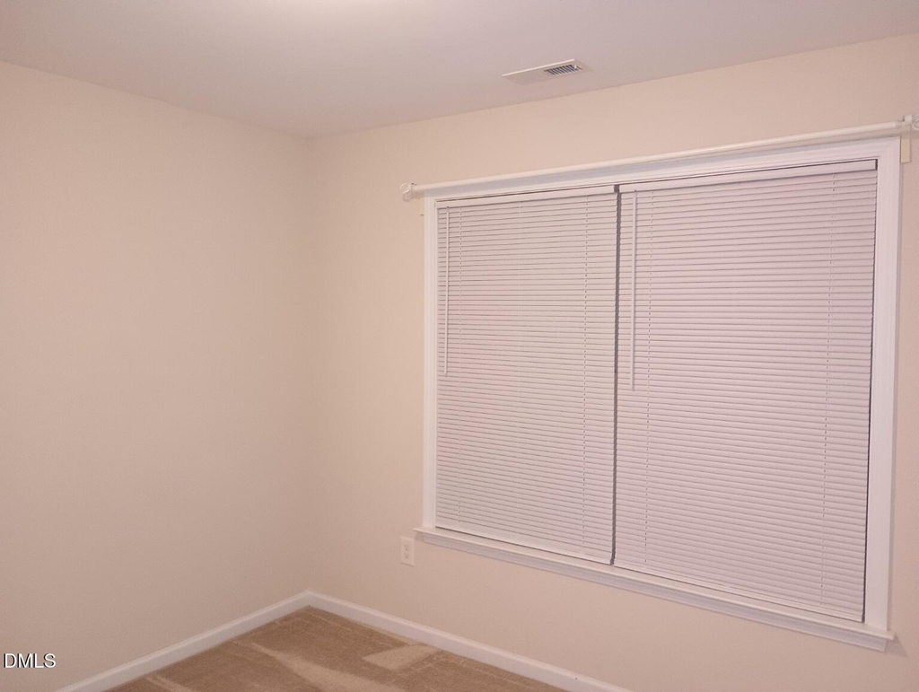 247 Cypress Hill Lane - Photo 12