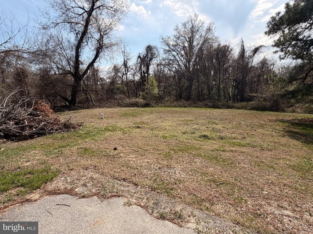7285 Clyde Jones Road - Photo 35