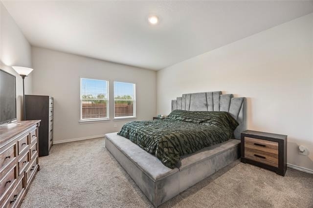 444 Vitex Drive - Photo 12