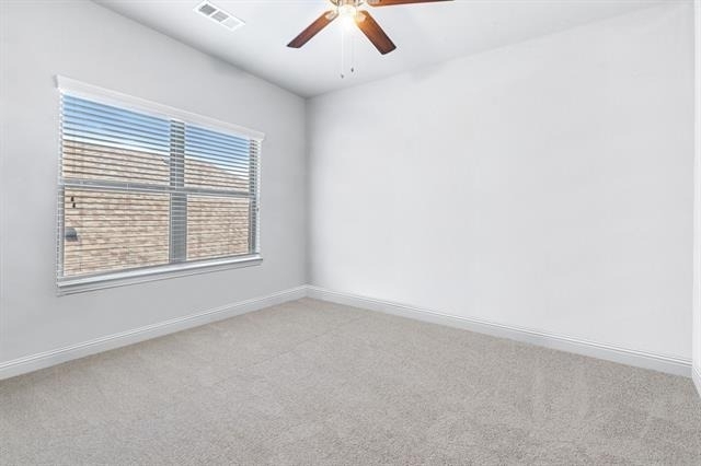 16613 Dry Creek Boulevard - Photo 11