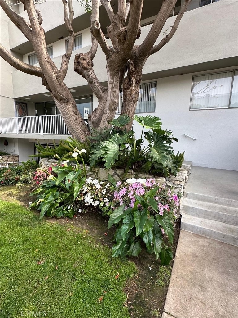 11692 Chenault Street - Photo 10