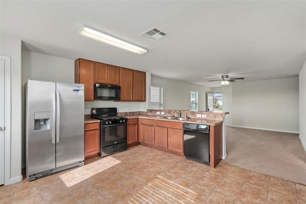 1323 Pease River Lane - Photo 10