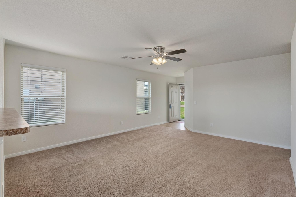1323 Pease River Lane - Photo 7