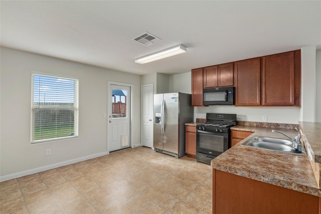1323 Pease River Lane - Photo 9