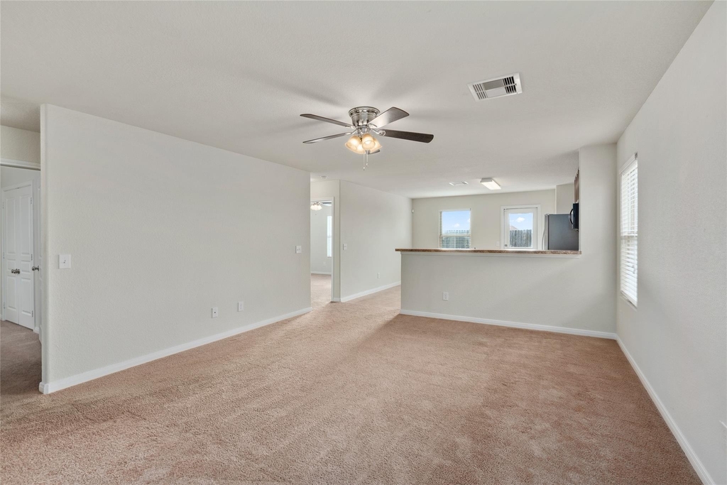 1323 Pease River Lane - Photo 5