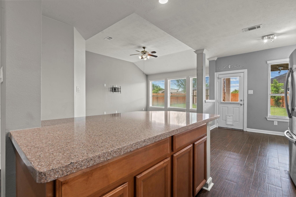 19415 Bronte Springs Court - Photo 12