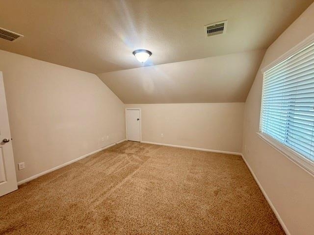 10002 Nathans Cove - Photo 36