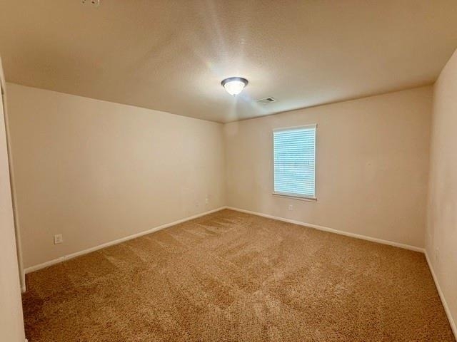 10002 Nathans Cove - Photo 33
