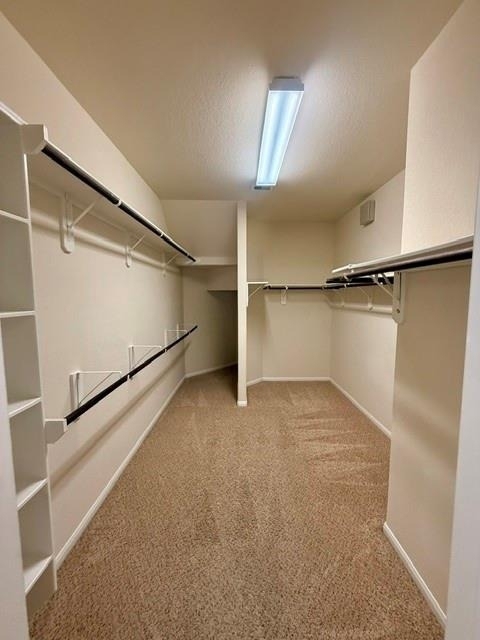 10002 Nathans Cove - Photo 21