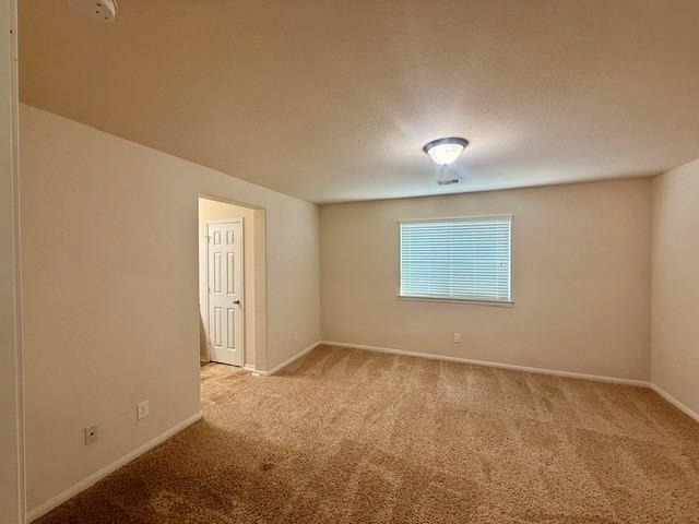 10002 Nathans Cove - Photo 23