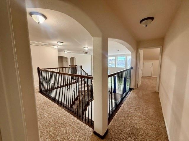 10002 Nathans Cove - Photo 29