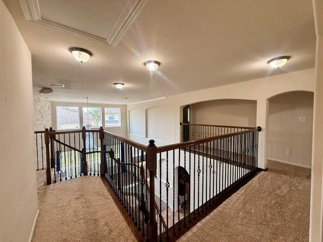 10002 Nathans Cove - Photo 28