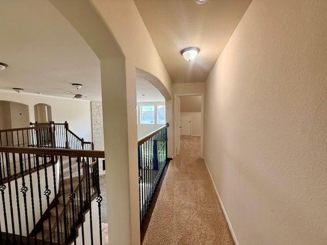 10002 Nathans Cove - Photo 31